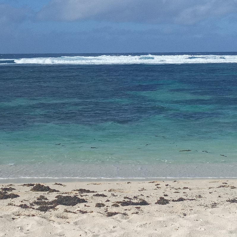 1672111323747651.jpg 42.jpg