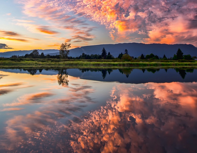 1682318427619104.jpg 158.jpg