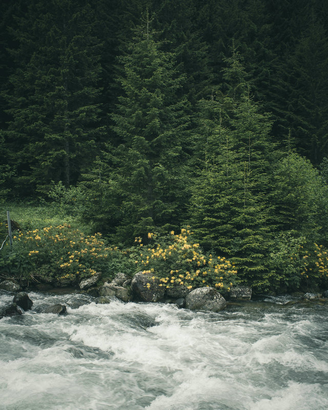濁度測定儀 濁度測定儀